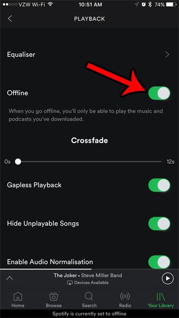 Download music offline on spotify