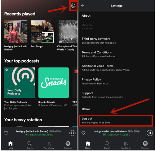 Song playing in spotify not showing outside apple